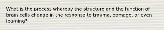 What is the process whereby the structure and the function of brain cells change in the response to trauma, damage, or even learning?