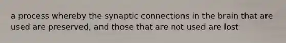 a process whereby the synaptic connections in the brain that are used are preserved, and those that are not used are lost