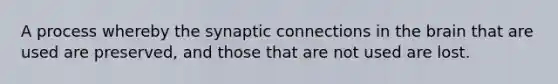 A process whereby the synaptic connections in the brain that are used are preserved, and those that are not used are lost.