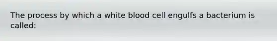 The process by which a white blood cell engulfs a bacterium is called: