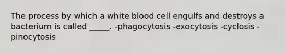 The process by which a white blood cell engulfs and destroys a bacterium is called _____. -phagocytosis -exocytosis -cyclosis -pinocytosis