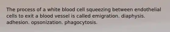 The process of a white blood cell squeezing between endothelial cells to exit a blood vessel is called emigration. diaphysis. adhesion. opsonization. phagocytosis.