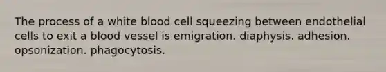 The process of a white blood cell squeezing between endothelial cells to exit a blood vessel is emigration. diaphysis. adhesion. opsonization. phagocytosis.