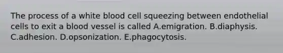 The process of a white blood cell squeezing between endothelial cells to exit a blood vessel is called A.emigration. B.diaphysis. C.adhesion. D.opsonization. E.phagocytosis.