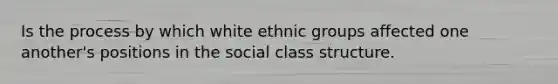 Is the process by which white ethnic groups affected one another's positions in the social class structure.