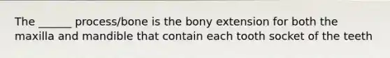 The ______ process/bone is the bony extension for both the maxilla and mandible that contain each tooth socket of the teeth