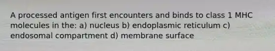 A processed antigen first encounters and binds to class 1 MHC molecules in the: a) nucleus b) endoplasmic reticulum c) endosomal compartment d) membrane surface