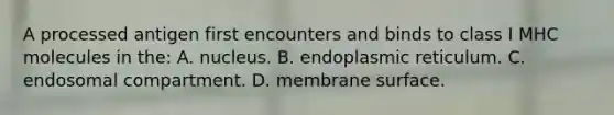 A processed antigen first encounters and binds to class I MHC molecules in the: A. nucleus. B. endoplasmic reticulum. C. endosomal compartment. D. membrane surface.