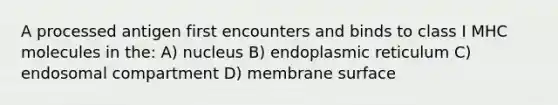 A processed antigen first encounters and binds to class I MHC molecules in the: A) nucleus B) endoplasmic reticulum C) endosomal compartment D) membrane surface