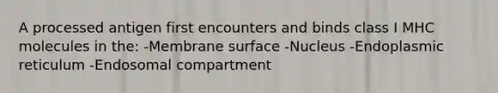 A processed antigen first encounters and binds class I MHC molecules in the: -Membrane surface -Nucleus -Endoplasmic reticulum -Endosomal compartment