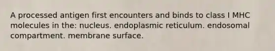 A processed antigen first encounters and binds to class I MHC molecules in the: nucleus. endoplasmic reticulum. endosomal compartment. membrane surface.