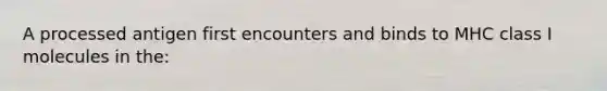 A processed antigen first encounters and binds to MHC class I molecules in the: