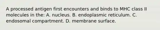 A processed antigen first encounters and binds to MHC class II molecules in the: A. nucleus. B. endoplasmic reticulum. C. endosomal compartment. D. membrane surface.