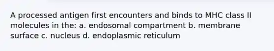 A processed antigen first encounters and binds to MHC class II molecules in the: a. endosomal compartment b. membrane surface c. nucleus d. endoplasmic reticulum