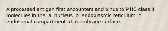 A processed antigen first encounters and binds to MHC class II molecules in the: a. nucleus. b. endoplasmic reticulum. c. endosomal compartment. d. membrane surface.