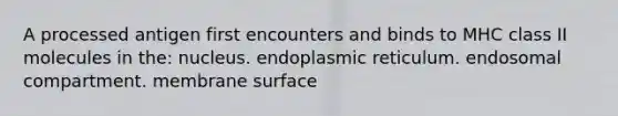 A processed antigen first encounters and binds to MHC class II molecules in the: nucleus. endoplasmic reticulum. endosomal compartment. membrane surface