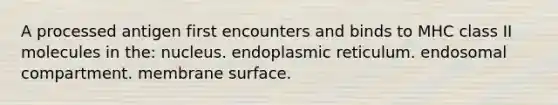 A processed antigen first encounters and binds to MHC class II molecules in the: nucleus. endoplasmic reticulum. endosomal compartment. membrane surface.