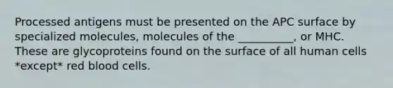 Processed antigens must be presented on the APC surface by specialized molecules, molecules of the __________, or MHC. These are glycoproteins found on the surface of all human cells *except* red blood cells.