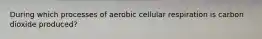 During which processes of aerobic cellular respiration is carbon dioxide produced?