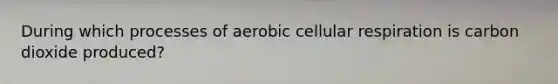 During which processes of aerobic cellular respiration is carbon dioxide produced?