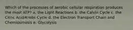 Which of the processes of aerobic cellular respiration produces the most ATP? a. the Light Reactions b. the Calvin Cycle c. the Citric Acid/Krebs Cycle d. the Electron Transport Chain and Chemiosmosis e. Glycolysis