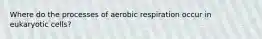 Where do the processes of aerobic respiration occur in eukaryotic cells?