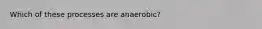 Which of these processes are anaerobic?