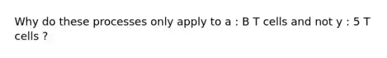 Why do these processes only apply to a : B T cells and not y : 5 T cells ?