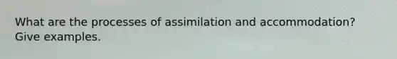 What are the processes of assimilation and accommodation? Give examples.