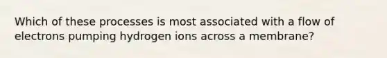 Which of these processes is most associated with a flow of electrons pumping hydrogen ions across a membrane?