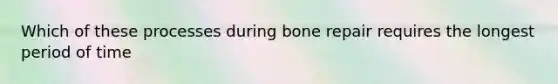 Which of these processes during bone repair requires the longest period of time