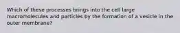 Which of these processes brings into the cell large macromolecules and particles by the formation of a vesicle in the outer membrane?