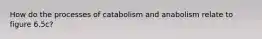 How do the processes of catabolism and anabolism relate to figure 6.5c?