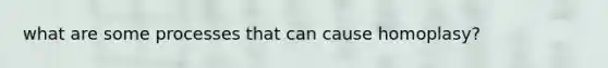 what are some processes that can cause homoplasy?
