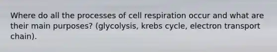 Where do all the processes of cell respiration occur and what are their main purposes? (glycolysis, krebs cycle, electron transport chain).