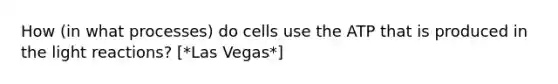 How (in what processes) do cells use the ATP that is produced in the light reactions? [*Las Vegas*]