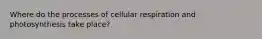 Where do the processes of cellular respiration and photosynthesis take place?