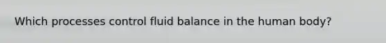 Which processes control fluid balance in the human body?