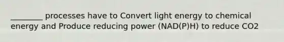 ________ processes have to Convert light energy to chemical energy and Produce reducing power (NAD(P)H) to reduce CO2