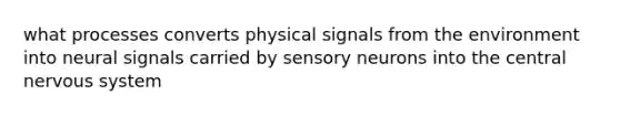 what processes converts physical signals from the environment into neural signals carried by sensory neurons into the central nervous system