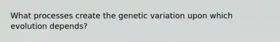 What processes create the genetic variation upon which evolution depends?