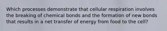 Which processes demonstrate that cellular respiration involves the breaking of chemical bonds and the formation of new bonds that results in a net transfer of energy from food to the cell?