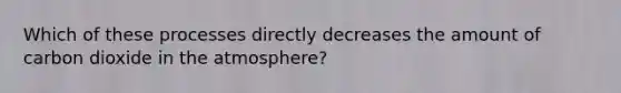 Which of these processes directly decreases the amount of carbon dioxide in the atmosphere?