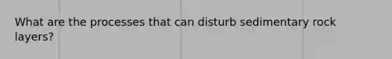 What are the processes that can disturb sedimentary rock layers?
