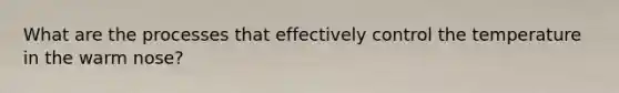 What are the processes that effectively control the temperature in the warm nose?