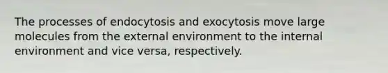 The processes of endocytosis and exocytosis move large molecules from the external environment to the internal environment and vice versa, respectively.