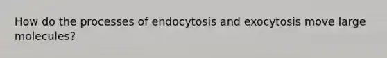 How do the processes of endocytosis and exocytosis move large molecules?