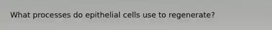 What processes do epithelial cells use to regenerate?