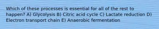 Which of these processes is essential for all of the rest to happen? A) Glycolysis B) Citric acid cycle C) Lactate reduction D) Electron transport chain E) Anaerobic fermentation