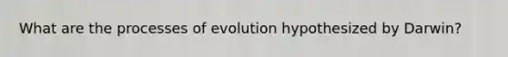 What are the processes of evolution hypothesized by Darwin?